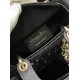 Lady-dior