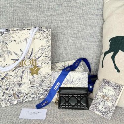 Lady-dior