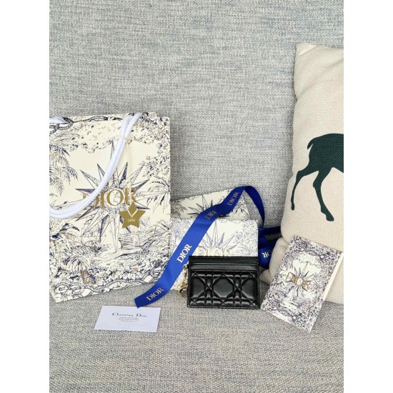 Lady-dior Lady-dior