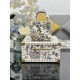 Lady-dior