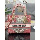 Lady-dior Lady-dior