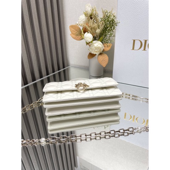 Lady-dior