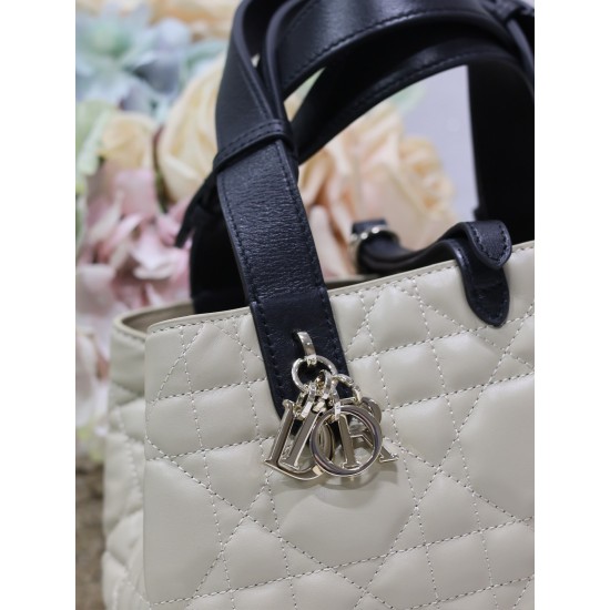 DIOR Toujours
