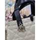 DIOR Toujours