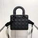 Lady-dior