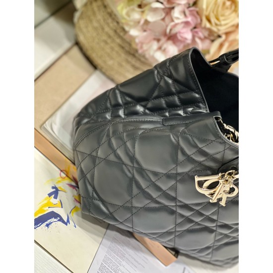 DIOR Toujours