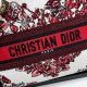 Lady-dior Lady-dior
