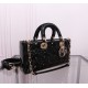 Lady-dior