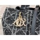 DIOR Toujours