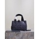 DIOR Toujours