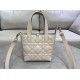DIOR Toujours