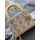Lady-dior