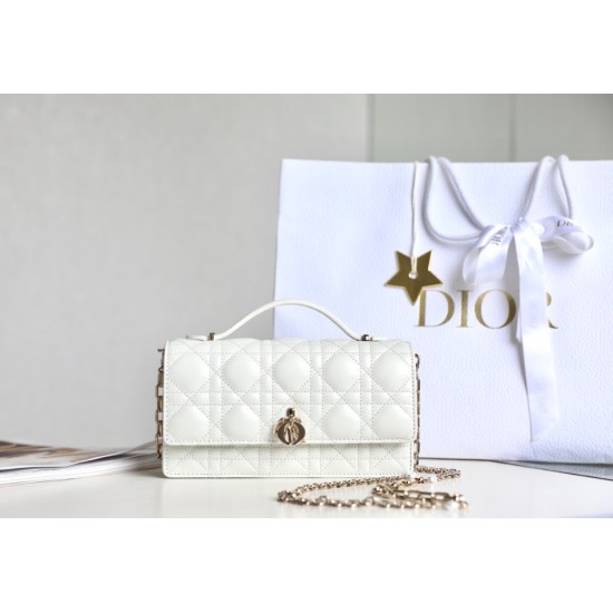 Lady-dior