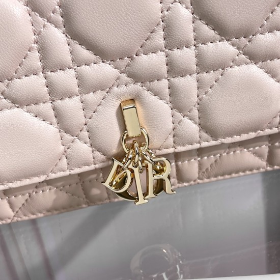 Lady-dior