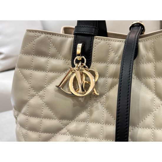 DIOR Toujours