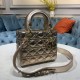 Lady-dior