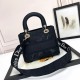Lady-dior Lady-dior