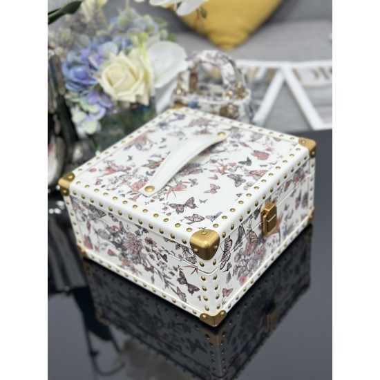 Lady-dior
