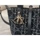 DIOR Toujours