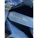 DIOR Toujours