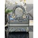Lady-dior
