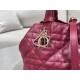DIOR Toujours