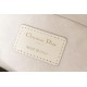 Lady-dior