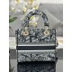 Lady-dior Lady-dior