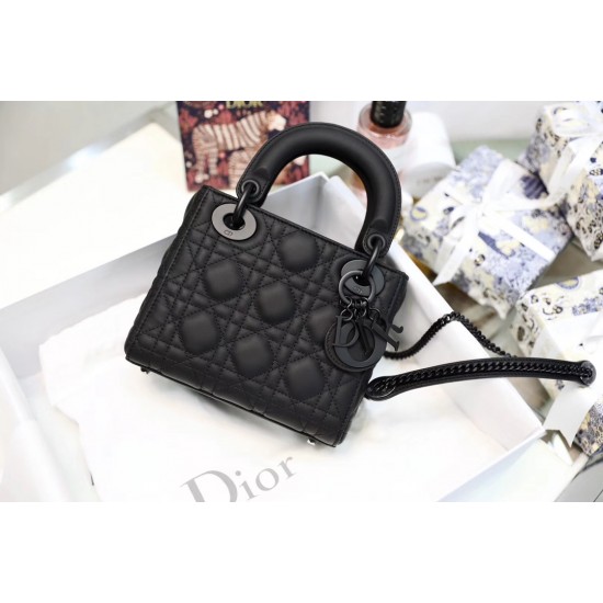 Lady-dior