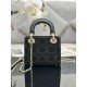 Lady-dior