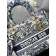 Lady-dior