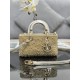 Lady-dior