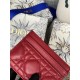 Lady-dior