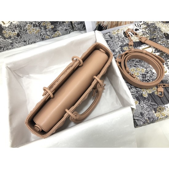 Lady-dior Lady-dior