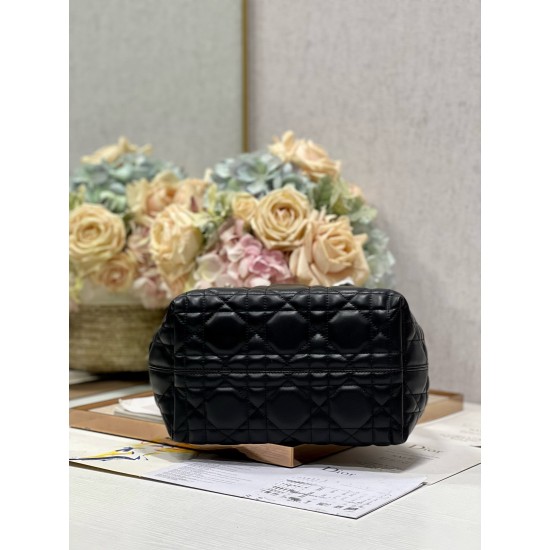 DIOR Toujours