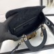 Lady-dior Lady-dior