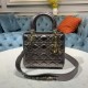Lady-dior