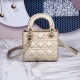 Lady-dior
