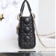 Lady-dior