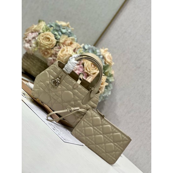 DIOR Toujours