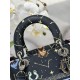 Lady-dior