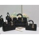 Lady-dior
