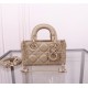 Lady-dior