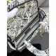 Lady-dior