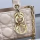 Lady-dior
