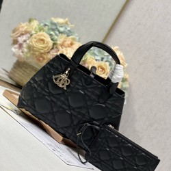 DIOR Toujours