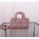 Lady-dior