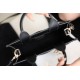 Tote book