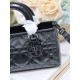 Lady-dior Lady-dior