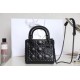 Lady-dior